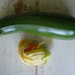 Zuchini-Blüte